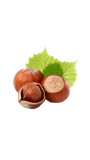 haselnusse