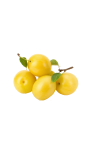 mirabellenjpg